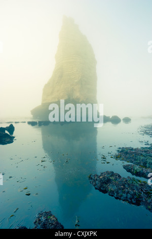 Stack di mare nella nebbia, Etretat, Normandia, Francia Foto Stock