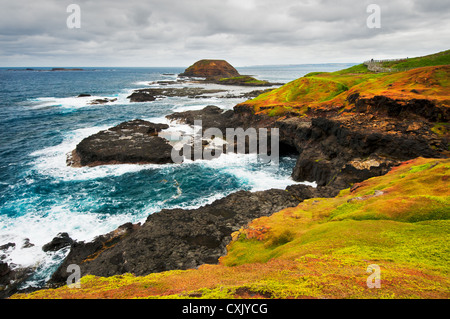 I Nobbies alla punta occidentale di Phillip Island. Foto Stock