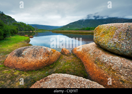 Rocce ricoperte di lichene sul fiume Tidal nel Parco Nazionale del promontorio di Wilsons. Foto Stock