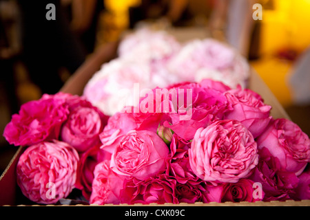 Casella di fiori in luogo di nozze Foto Stock