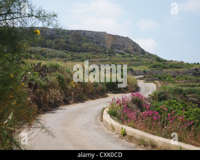 Una strada tortuosa Foto Stock