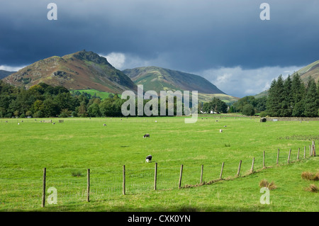 Vista guardando attraverso i campi verso Helm Crag sotto il grigio tempestoso Cielo in estate vicino Grasmere Cumbria Inghilterra Regno Unito GB Gran Bretagna Foto Stock