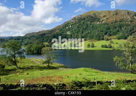 Guardando dall'acqua di Rydal a Nab Scar da Loughrigg Terrace In estate Cumbria Lake District National Park England UK United Regno Unito Gran Bretagna Foto Stock