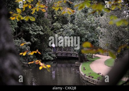 Il 'Monet stile' bridge a Worcester College di Oxford Foto Stock