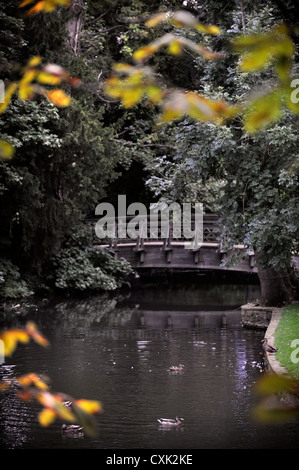 Il 'Monet stile' bridge a Worcester College di Oxford Foto Stock