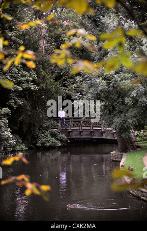 Il 'Monet stile' bridge a Worcester College di Oxford Foto Stock