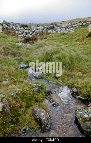 Un piccolo ruscello in giù dalla parete esterna di Grimspound, una età del bronzo insediamento nel Parco Nazionale di Dartmoor Foto Stock