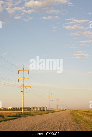 Strada sterrata attraverso terreni agricoli, Alberta, Canada Foto Stock