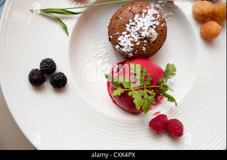 Dolce al cioccolato con gelato al lampone a Wedding Foto Stock