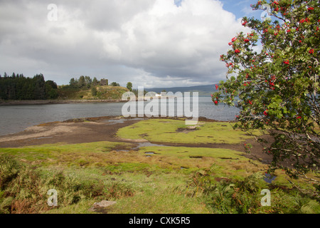 Isle of Mull, Scozia. Una vista pittoresca del Mull east coast con il XIII secolo Aros rete rovine del castello in background. Foto Stock