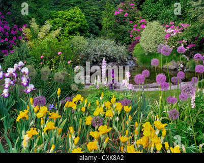 Stagno con giardino fiorito. Iris Schrieners giardini, Salem, Oregon. Foto Stock