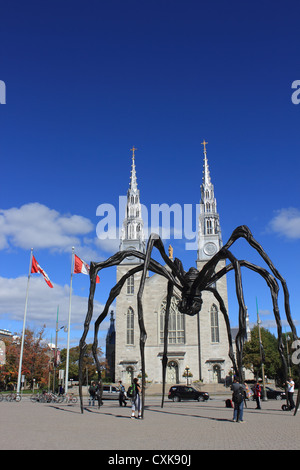 Louise Bourgeois scultura in bronzo Maman a 30 piedi alto Spider nani passanti con di fronte la Cattedrale di Notre Dame a Ottawa Foto Stock