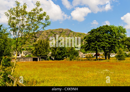 Le piste del vecchio di Coniston salire dietro il villaggio di guardare in giù sulla prateria piena di nativi fiori selvatici ed erbe Foto Stock