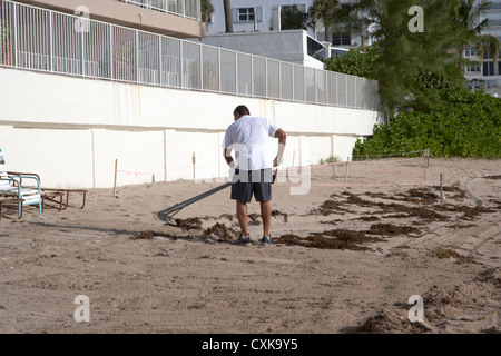 Lavoratore spiaggia pulizia rastrellando sabbia di fronte agli appartamenti alberghi e gli sviluppi sul fronte spiaggia spiaggia di Fort Lauderdale Florida usa Foto Stock