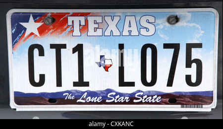 Texas Lone Star membro piastra di licenza negli Stati Uniti Foto Stock