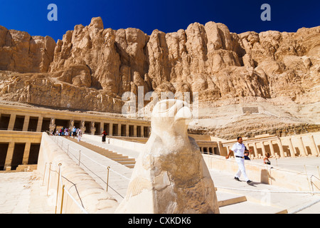 Deir al-Bahri, Hatshepsut Tempio con dio falco Horus statua in primo piano, Luxor, Egitto Foto Stock