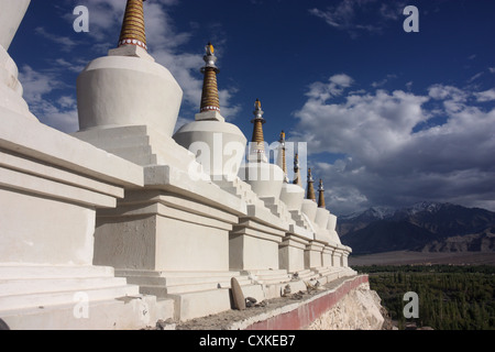 Golden chorten guglie del monastero di Shey alta in Himalaya vicino a Leh in Ladakh India del Nord Foto Stock