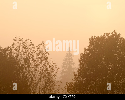 Una autentica immagine scattata durante un tramonto di nebbia in villaggio lungo (città), Croazia Foto Stock