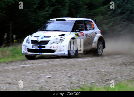 WRC 2012, Galles, Skoda rally car Foto Stock