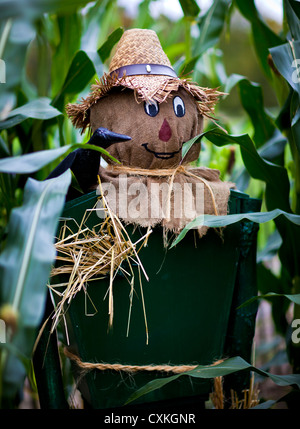 Scaregrow in piedi in un campo di mais dolce Foto Stock