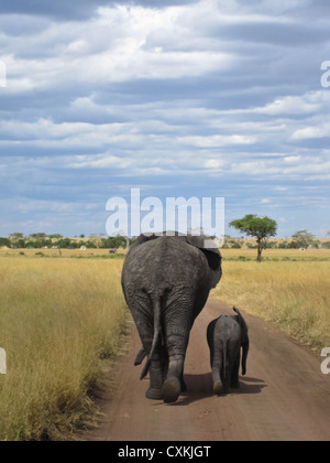 La madre e il bambino a piedi giù per la strada nel Serengeti National Park, Tanzania. Foto Stock