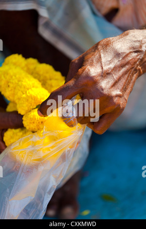 Al Malik Ghat il mercato dei fiori in Kolkata Foto Stock