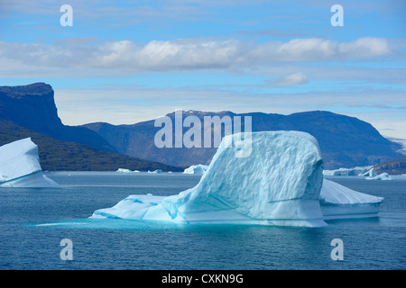 Iceberg, Harefjorden, Scoresby Sund in Groenlandia Foto Stock