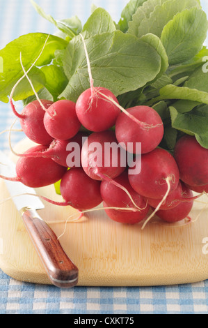 Ravanelli sul bordo di taglio Foto Stock
