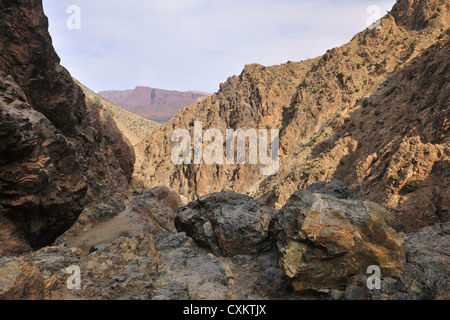 Percorso, Ourika Valley, Atlante, Marocco Foto Stock