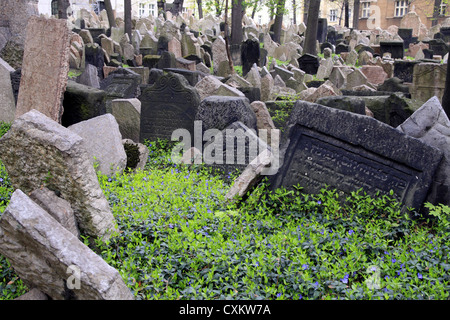 Il vecchio cimitero ebraico nel quartiere di Josefov, Praga, Repubblica Ceca Foto Stock