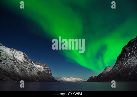 Luci del nord vicino a Tromso, Troms, Norvegia Foto Stock
