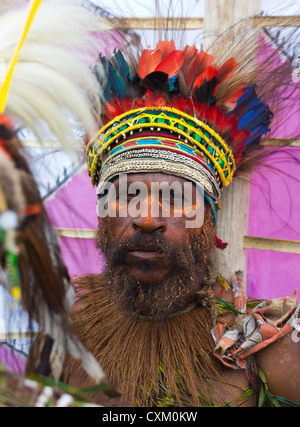 Ritratto di un uomo che indossa un copricapo piumato al singsing Festival Goroka, Papua Nuova Guinea Foto Stock