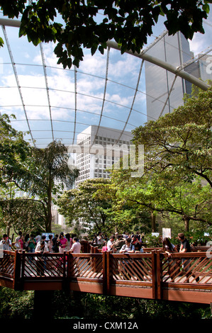 Visitatori all'interno del Edward youde voliera, hong kong park, centrale Foto Stock