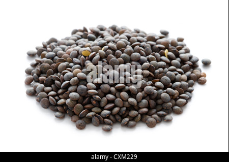 Un mucchio di puy lenticchie o Lentilles vertes isolati su sfondo bianco Foto Stock