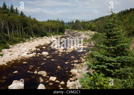 Il fiume Mackenzie sul Cabot Trail, Cape Breton, Nova Scotia Foto Stock