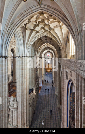 Gli interni della cattedrale di Salamanca, pala, foderato con colonne e bellissimo soffitto Foto Stock