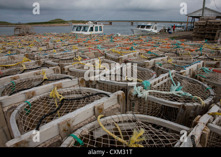 Lobster Pot in Covehead Harbour, Prince Edward Island, Canada Foto Stock