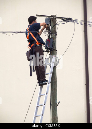 Tecnico che installa in fibra ottica internet a banda larga su un palo indossare l'imbracatura di sicurezza completa Foto Stock