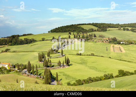 Colline e tortuosa strada in Toscana vicino a Monticchiello Foto Stock