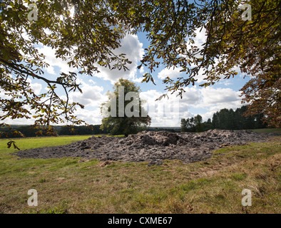 Covava resti di cenere di paglia bruciato dal fuoco oltre 500 balle di fieno bruciata alberi vicini fumi inquinanti sono rimasti per 3 giorno Foto Stock