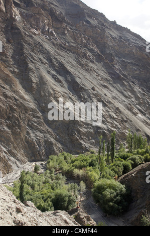 Strada di ghiaia vicino rizong, Jammu e Kashmir India Foto Stock