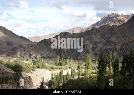 Paesaggio vicino Rizong, Jammu e Kashmir India Foto Stock