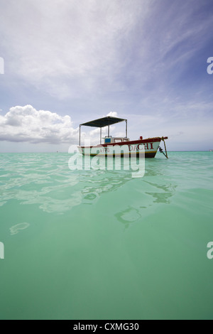 Ancorata colorate barche da pesca di Aruba II Foto Stock