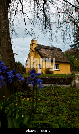 Giallo cottage con tetto in paglia in campagna Foto Stock