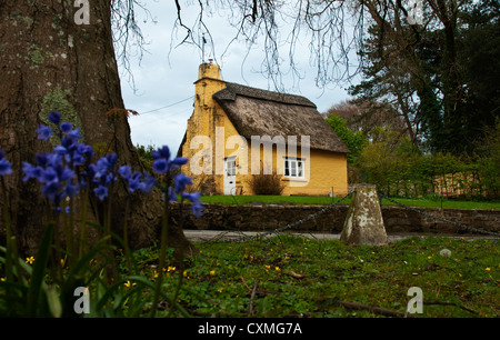 Giallo cottage con tetto in paglia in campagna Foto Stock