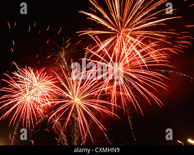 Fuochi d'artificio Foto Stock