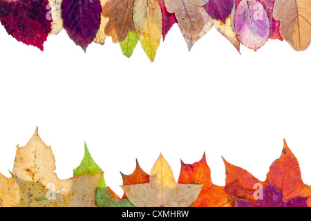 Due telaio laterale dal multicolore di foglie di autunno isolati su sfondo bianco Foto Stock