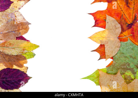 Due lato telaio naturale da foglie di autunno isolati su sfondo bianco Foto Stock