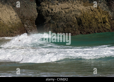 Un body boarder o un short boarder al Kynance Cove sulla penisola di Lizard, in Cornovaglia, Inghilterra Foto Stock