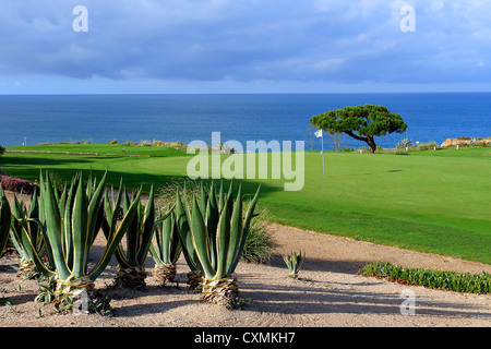 Algarve golf scenario costiero Foto Stock